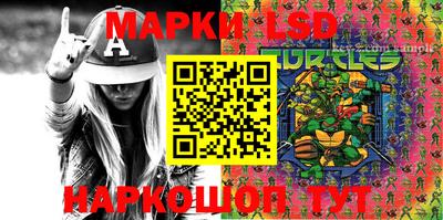 индика Абакан