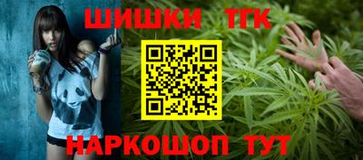 индика Абакан