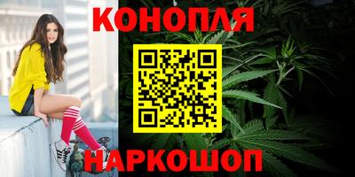 индика Абакан