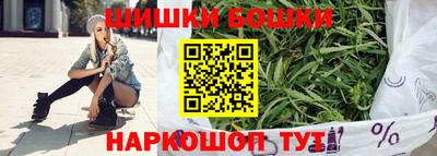 индика Абакан