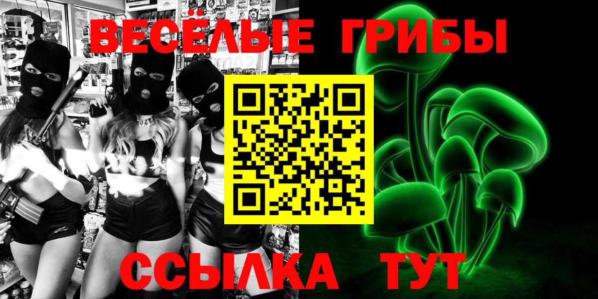 Галлюциногенные грибы Psilocybine cubensis Орехово-Зуево