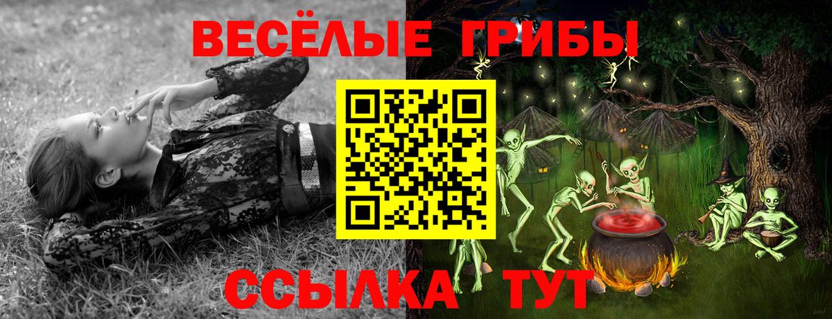Орехово-Зуево  наркотики  Вход с VPN  Псилоцибиновые грибы мухоморы 
